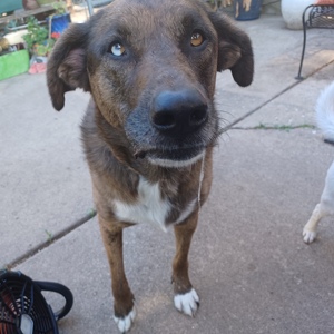 Fundraising Page: Lisa Tompkin